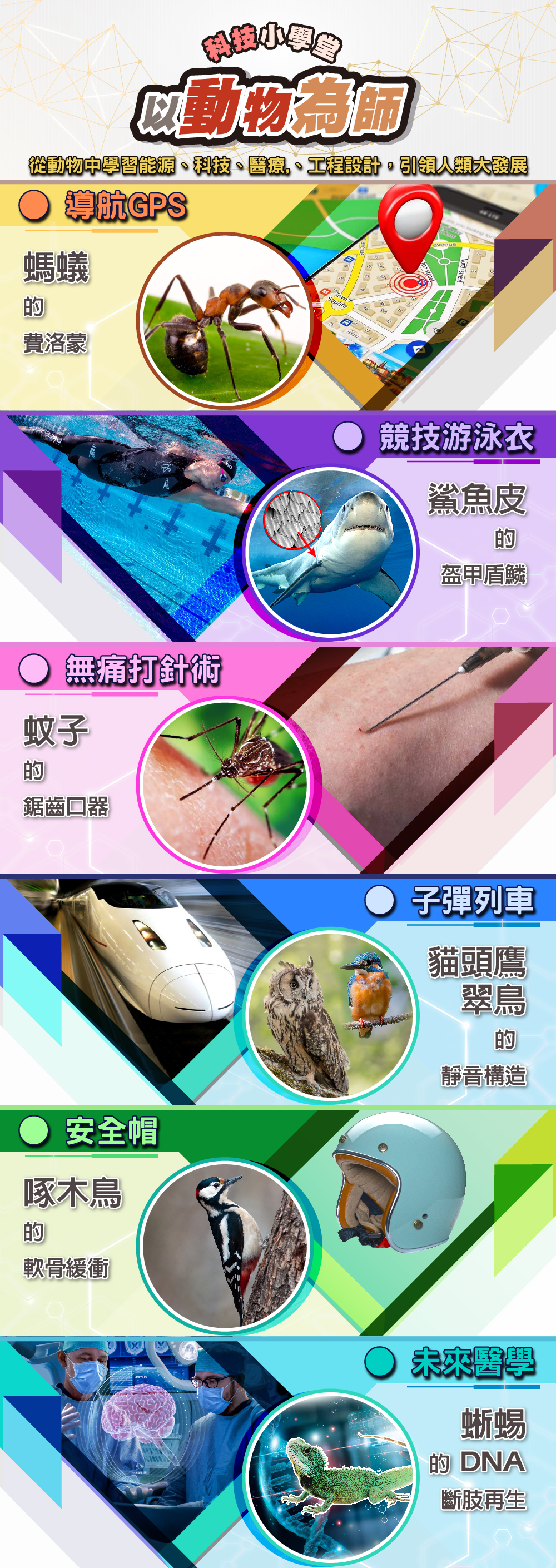 以動物為師-科技小學堂.jpg (1000×2820)